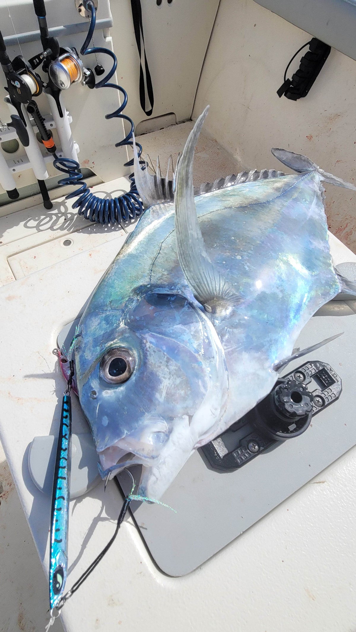 Ogre Slow Pitch Jig – 80g–300g