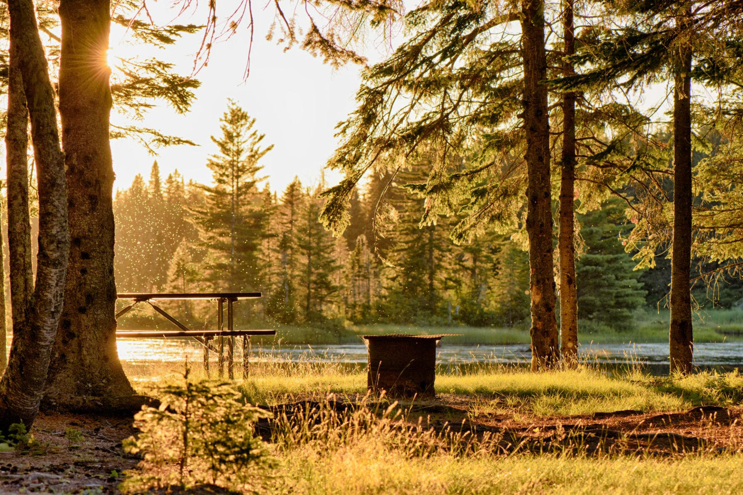 Camping & Outdoors