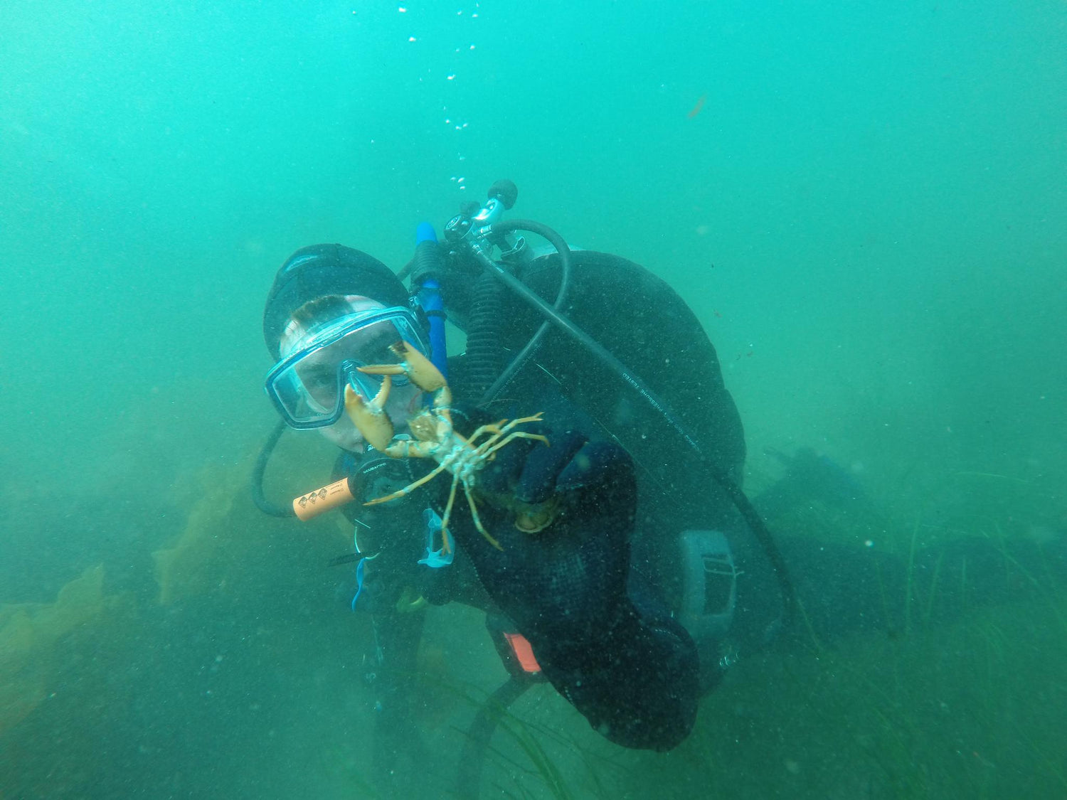 Diving & Watersports