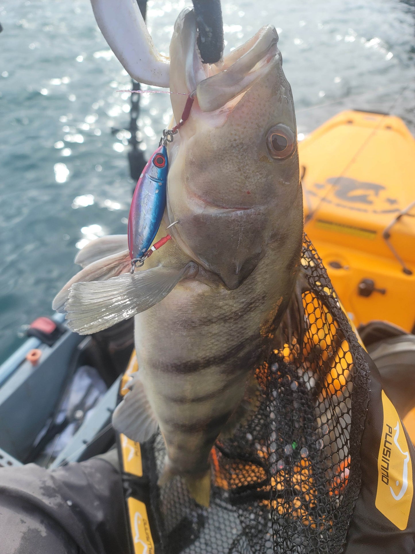 Sumo Slow Pitch Jig – 40g & 60g