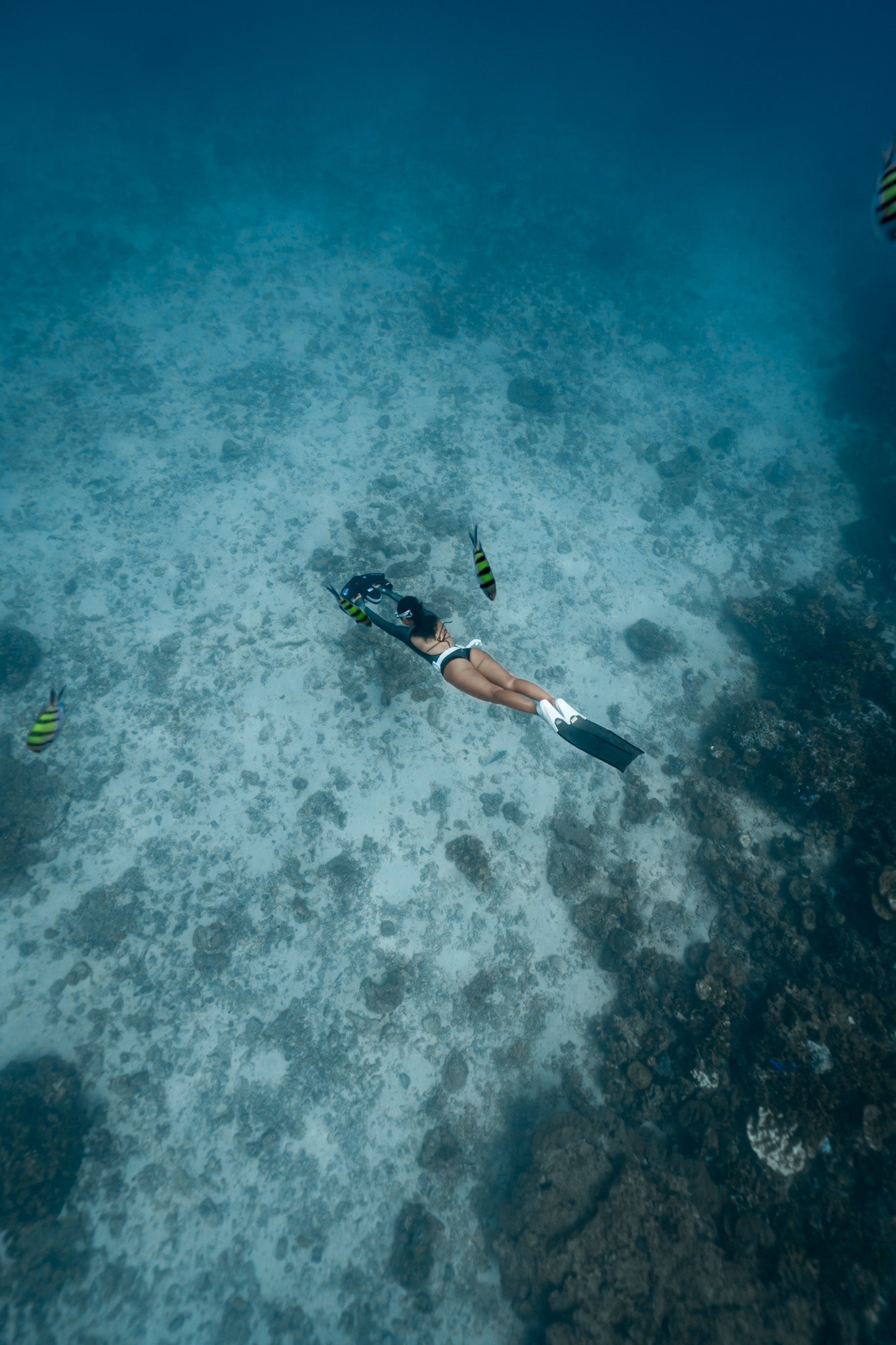 SUBLUE Navbow Underwater Scooter