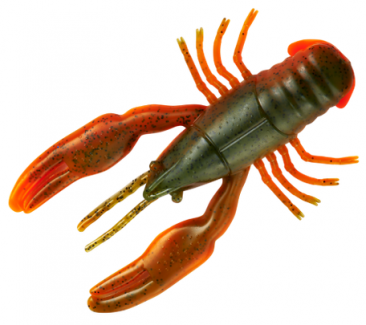 CrawBugs