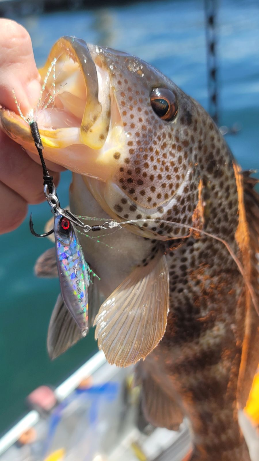 Sumo & Mercenary Micro Slow Pitch Jig – 4-Pack – 10g & 15g