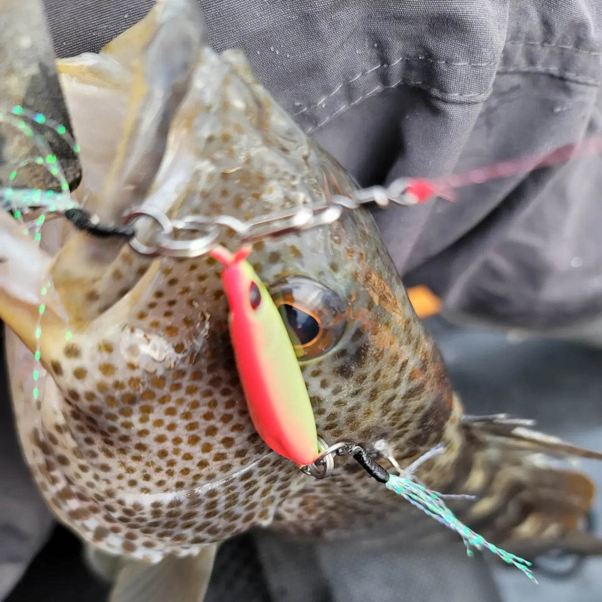 Sumo Slow Pitch Jig – 40g & 60g